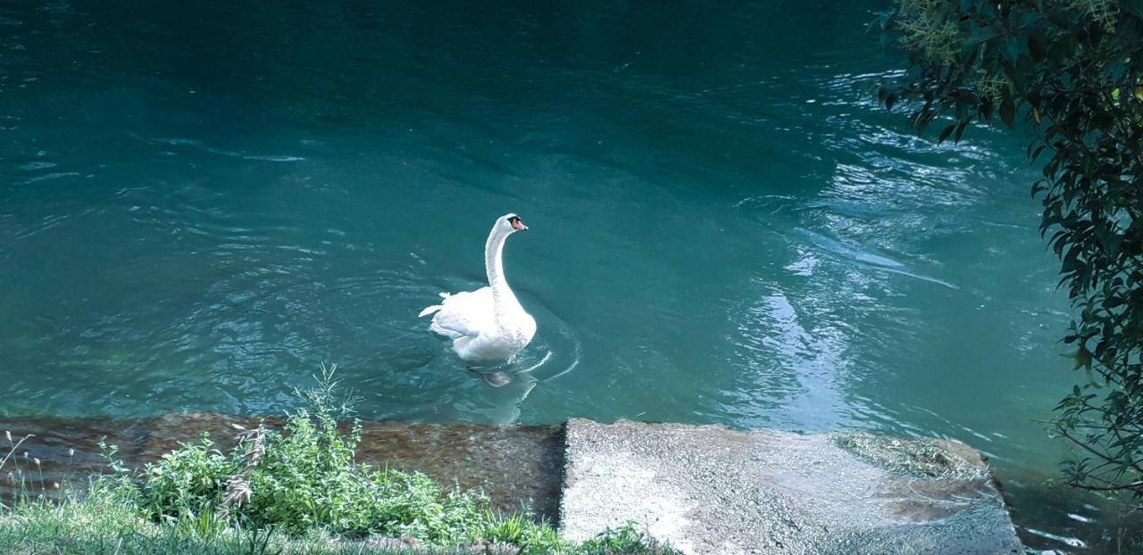 Ampio Appartamento Vicino Al Centro Di Treviso, Parcheggio Gratuito Exterior foto